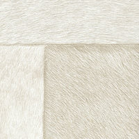 Elitis Indomptee Appaloosa VP 618 03