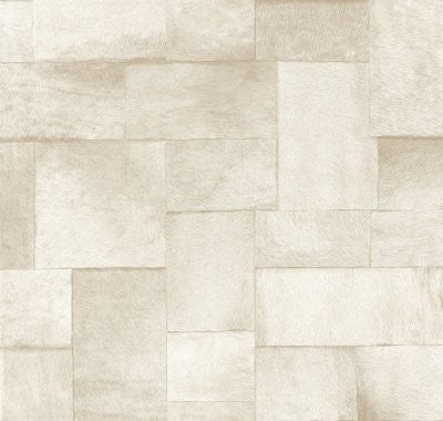 elitis indomptee appaloosa vp 61803