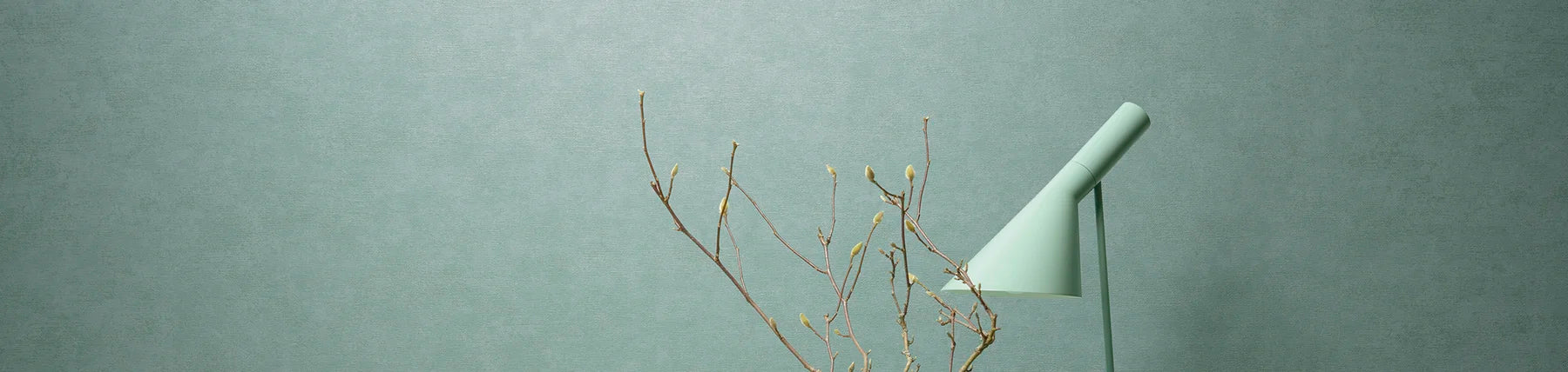 hooked on walls evora