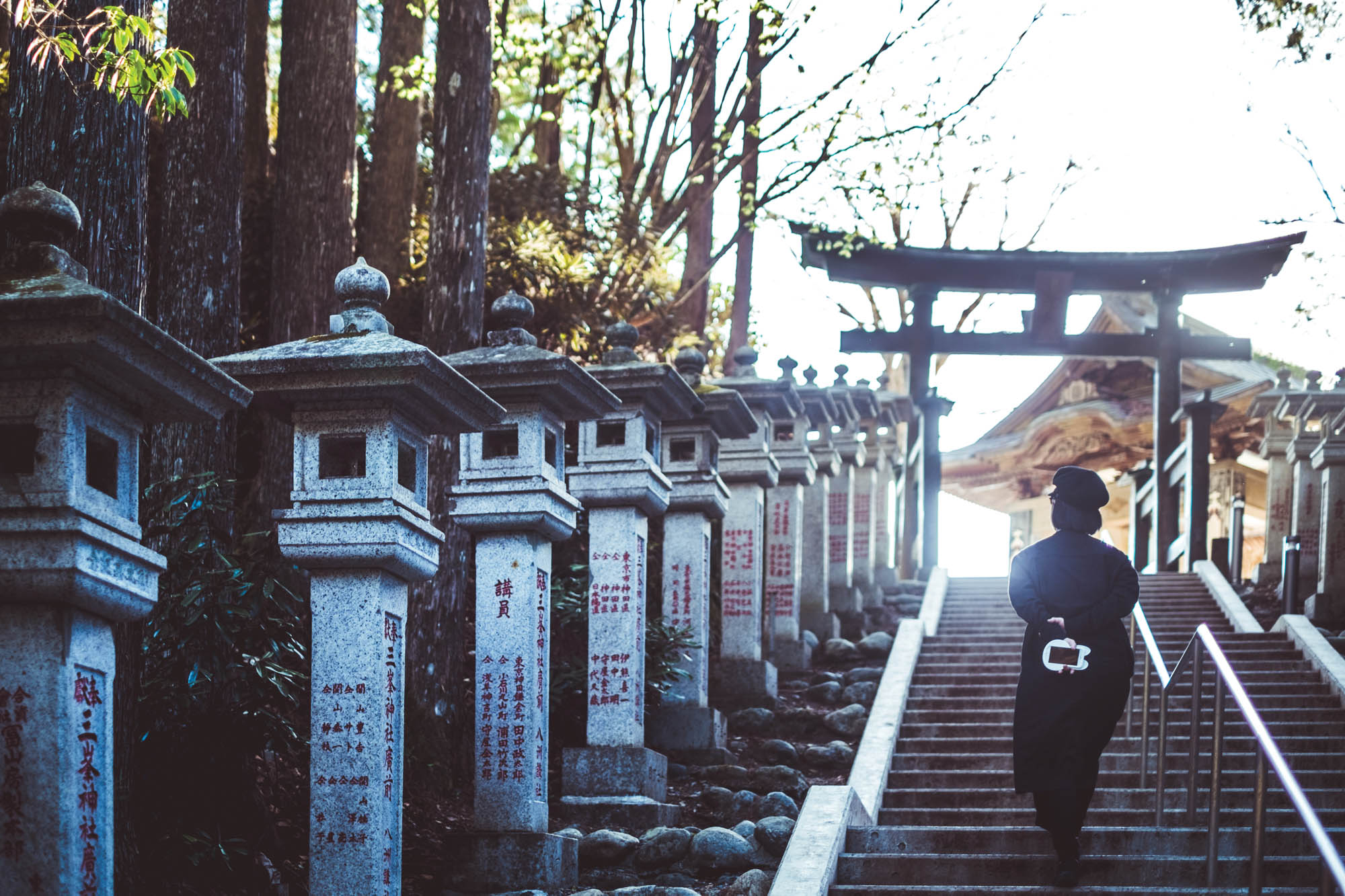 Mitsumine Shrine Japan - LW00098