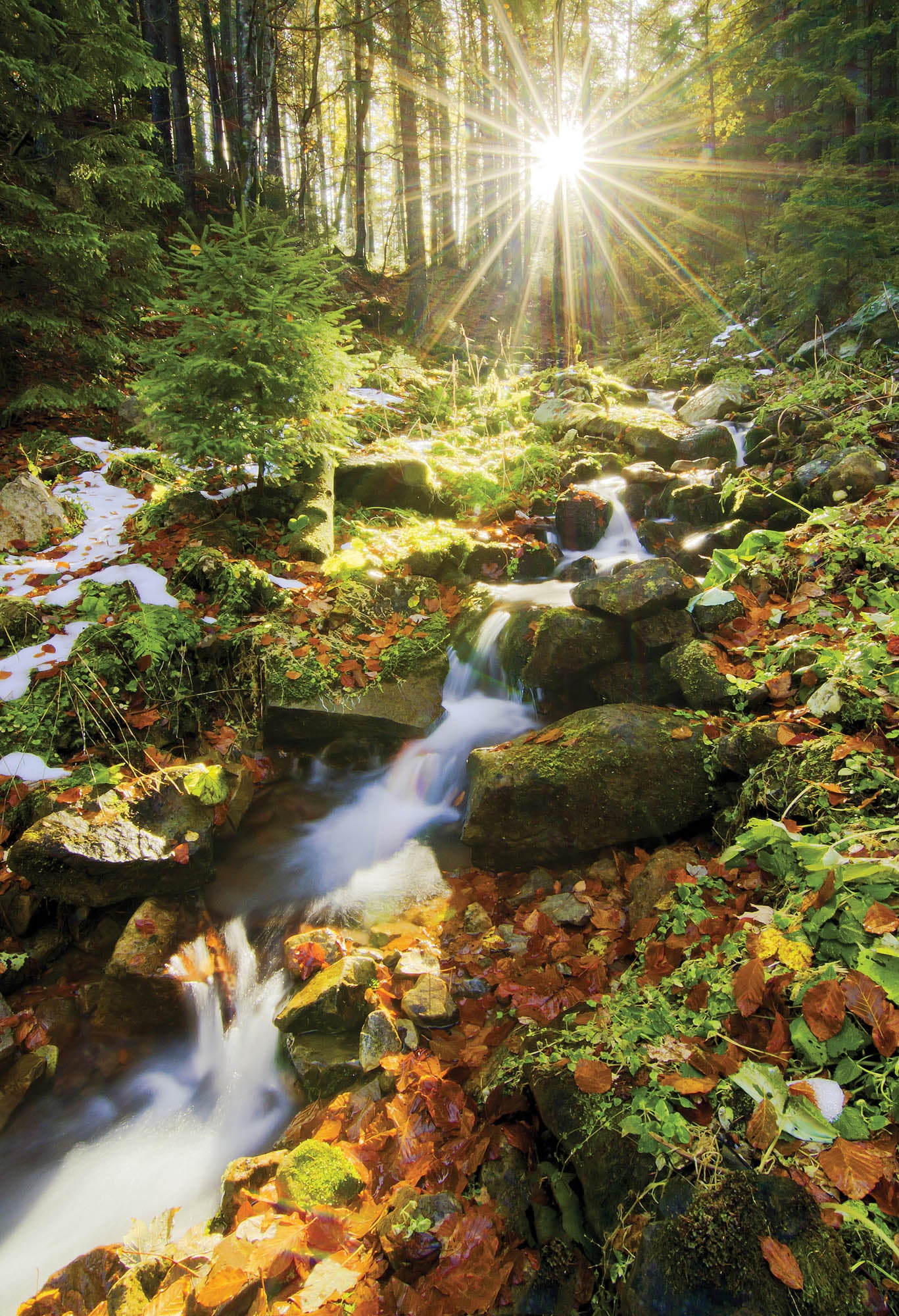 Waterval met de zon schijnend door de bomen  - LW00250