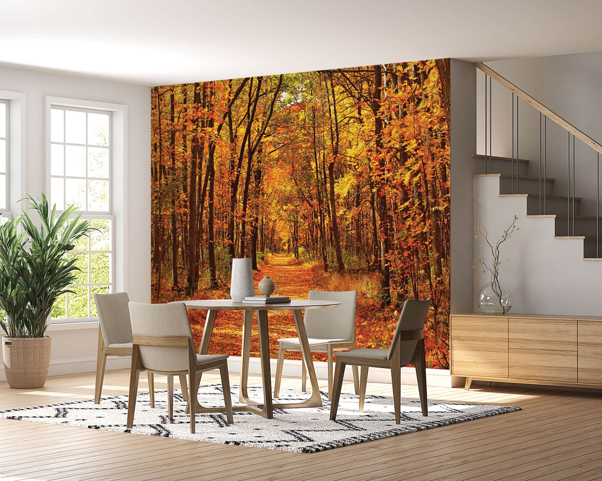 Bos in prachtige herfstkleuren- LW00295