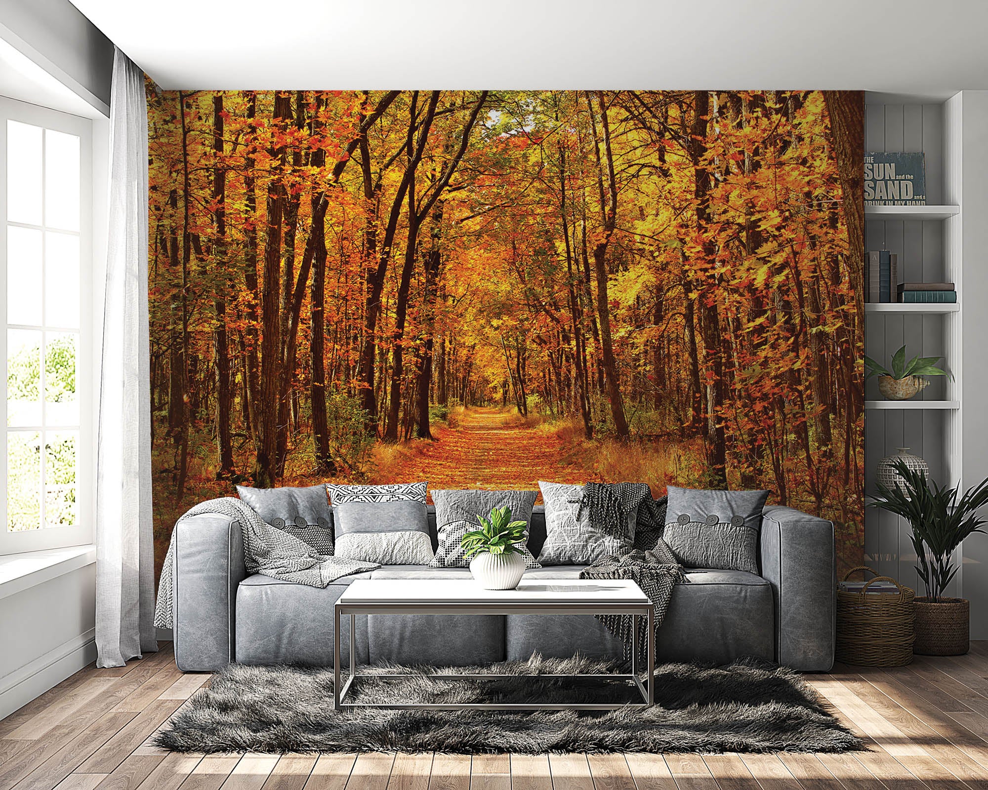 Bos in prachtige herfstkleuren- LW00295