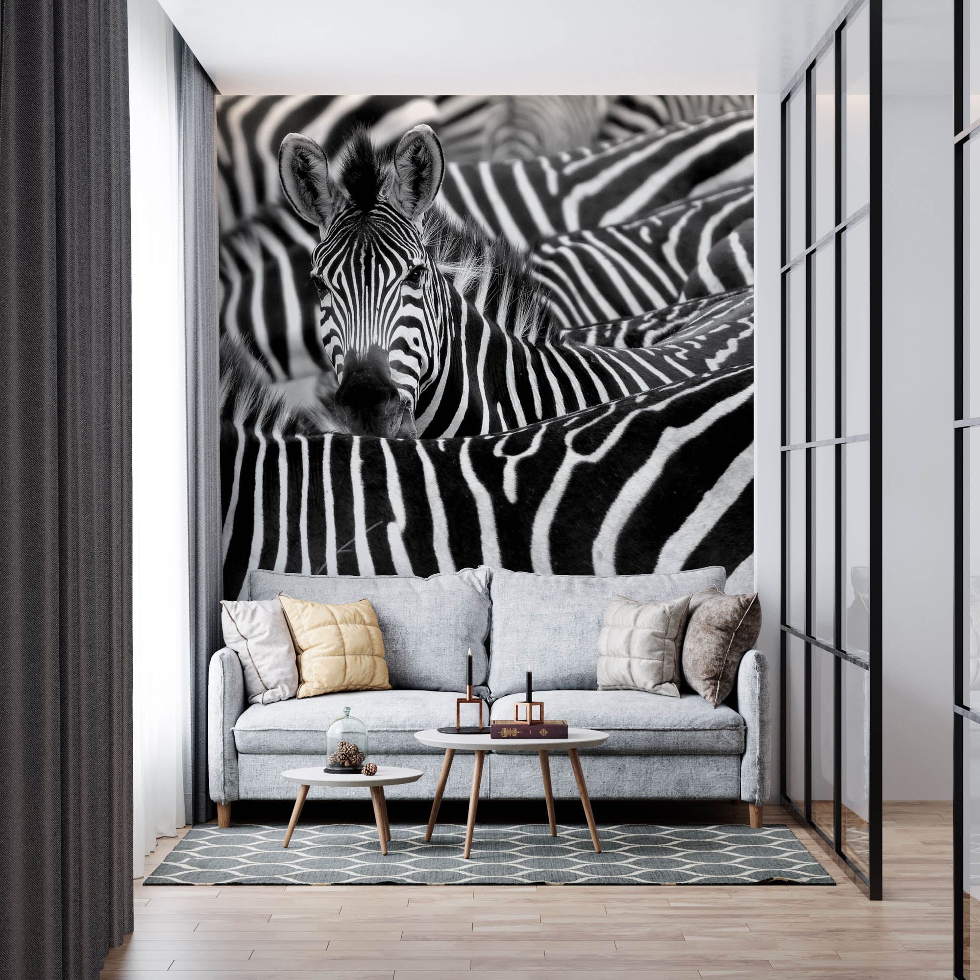 Zebra uitgelicht in kudde - LW00216