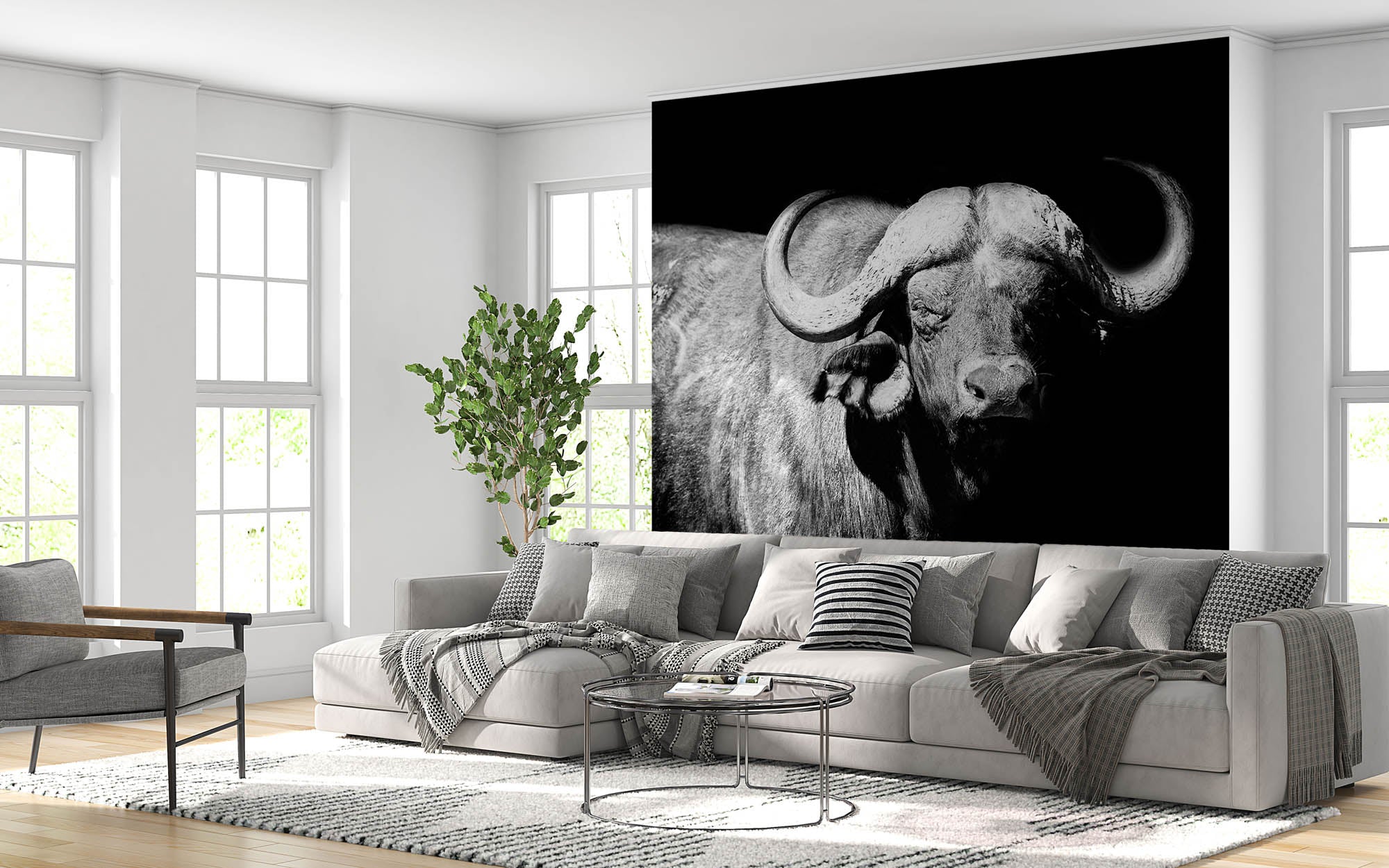 Afrikaanse buffel - LW00222