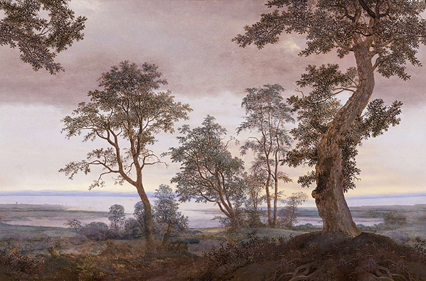 Eijffinger Magnifique 351291