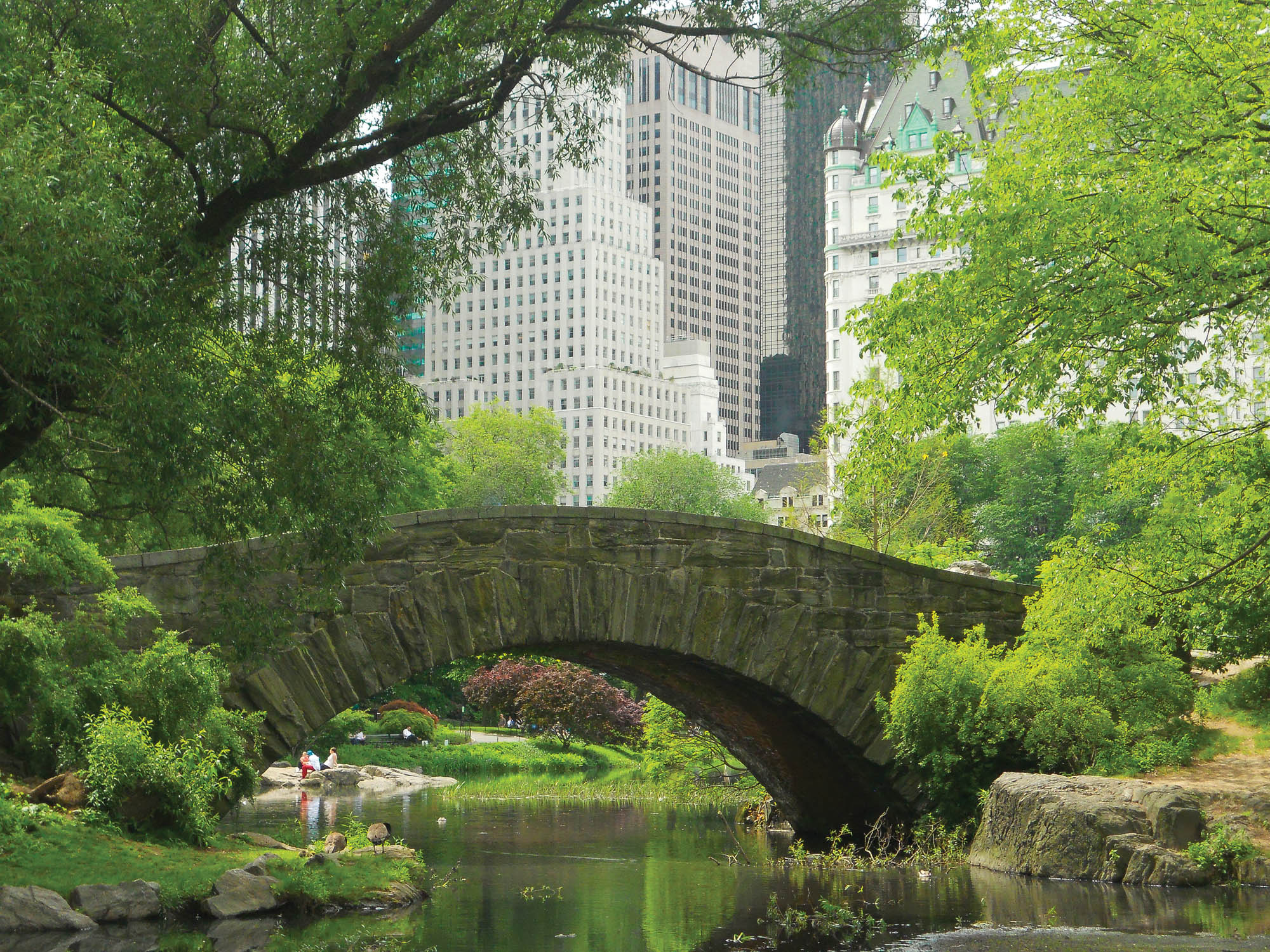 Brug in groen park - LW00323