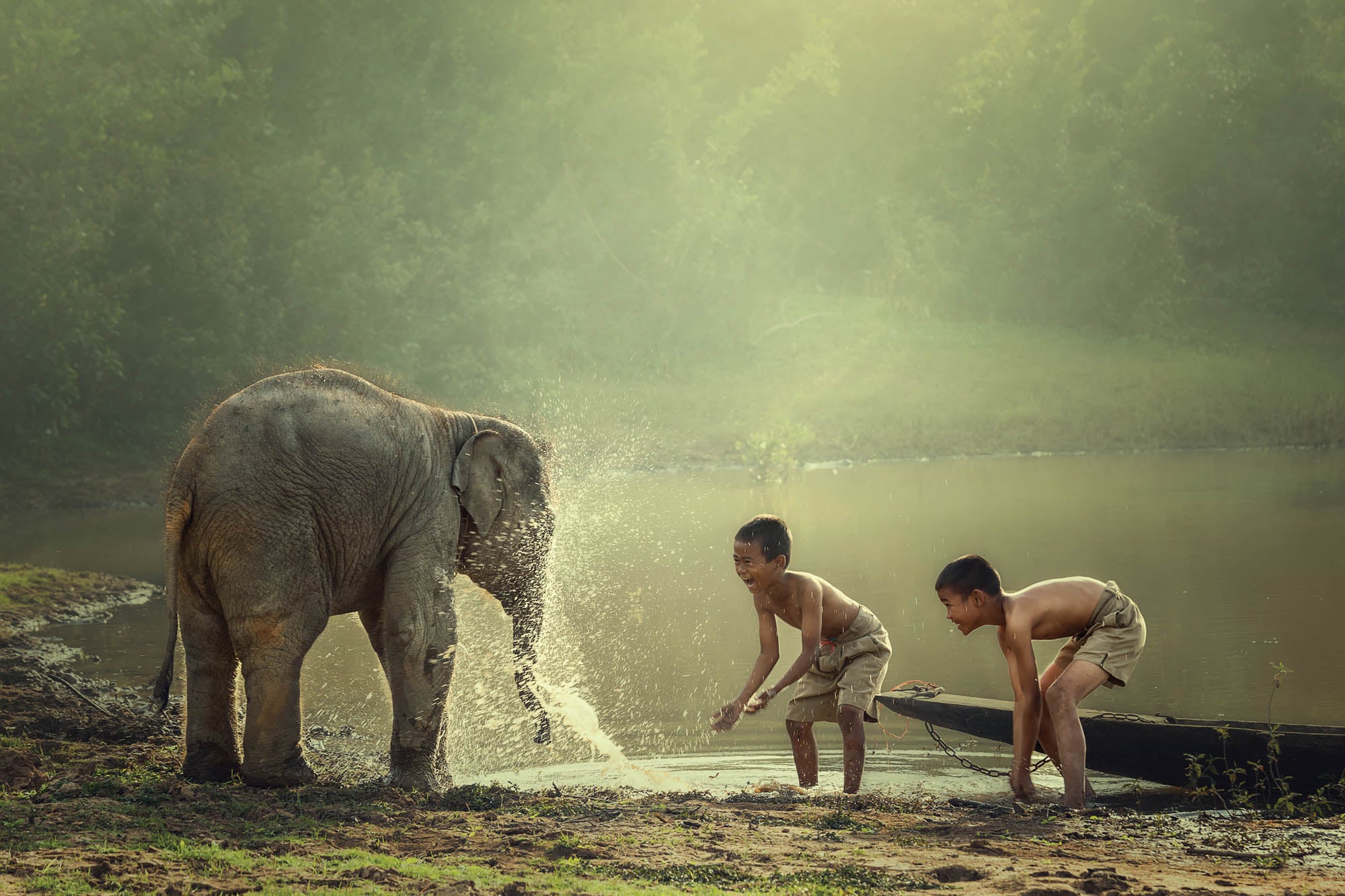 Baby olifant met kinderen - LW00063