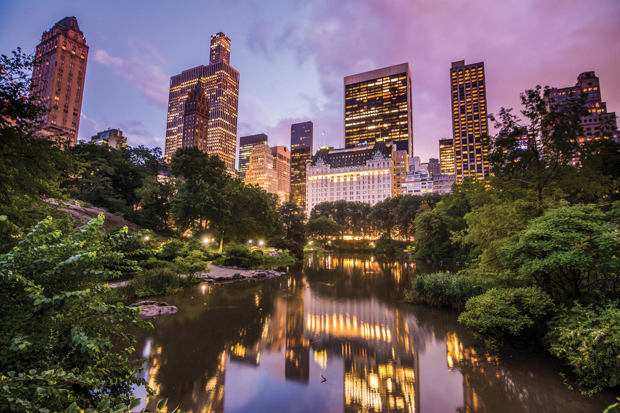 Stadspark Central Park - LW00327