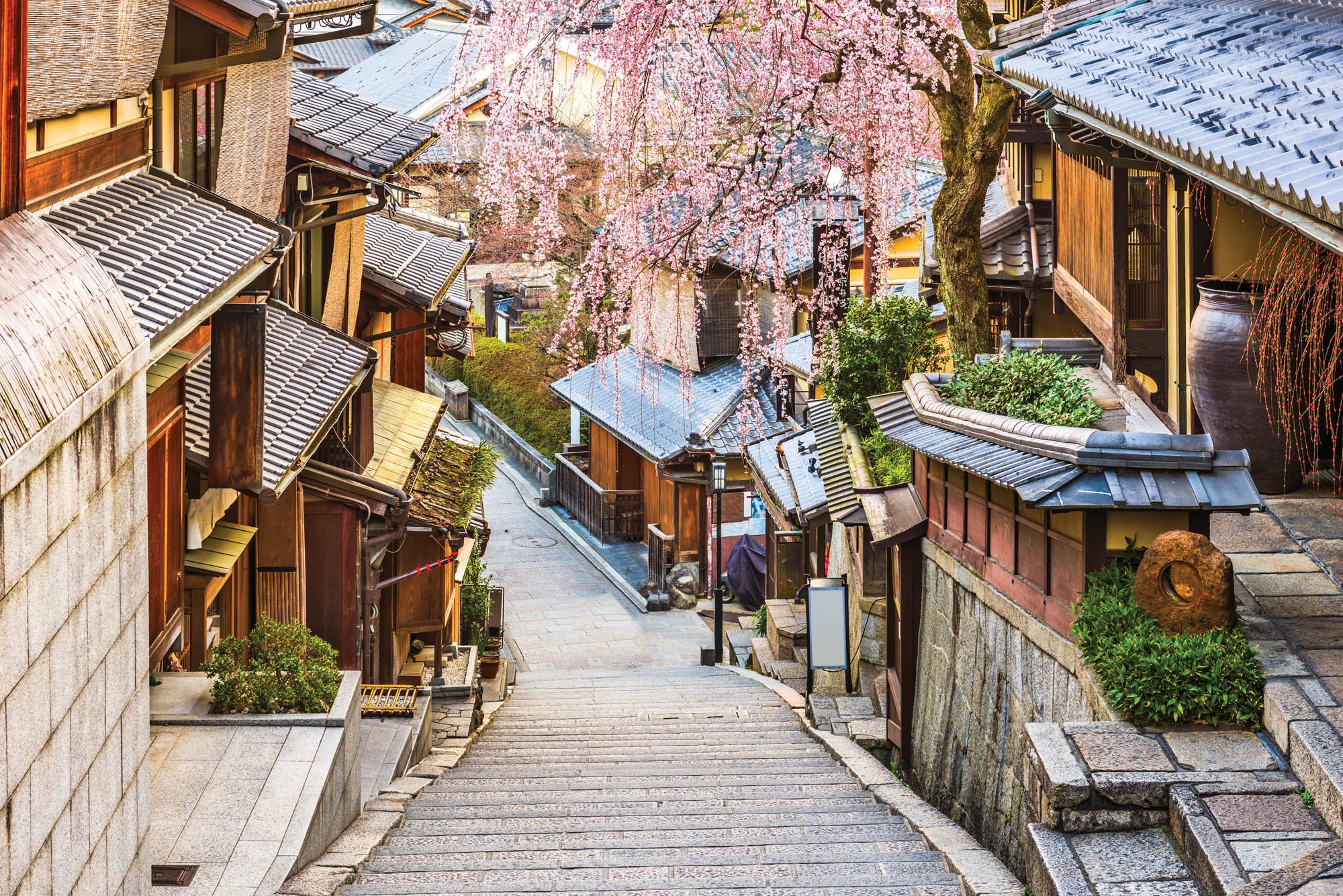 Lente in Kyoto - LW00080