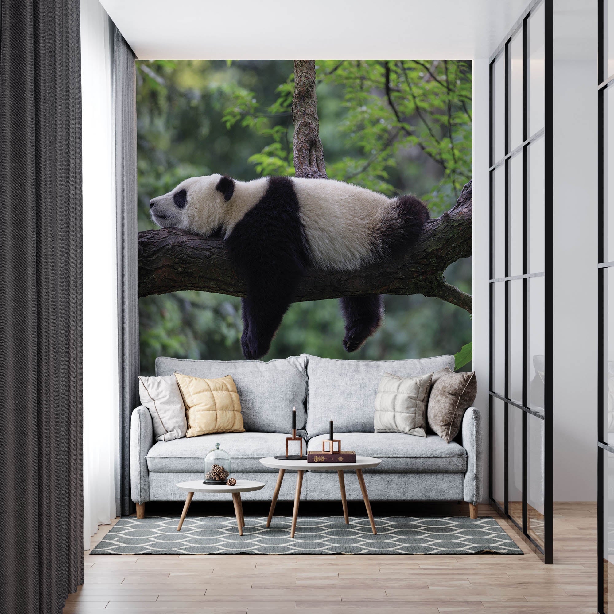 Slapende panda op tak  - LW00182