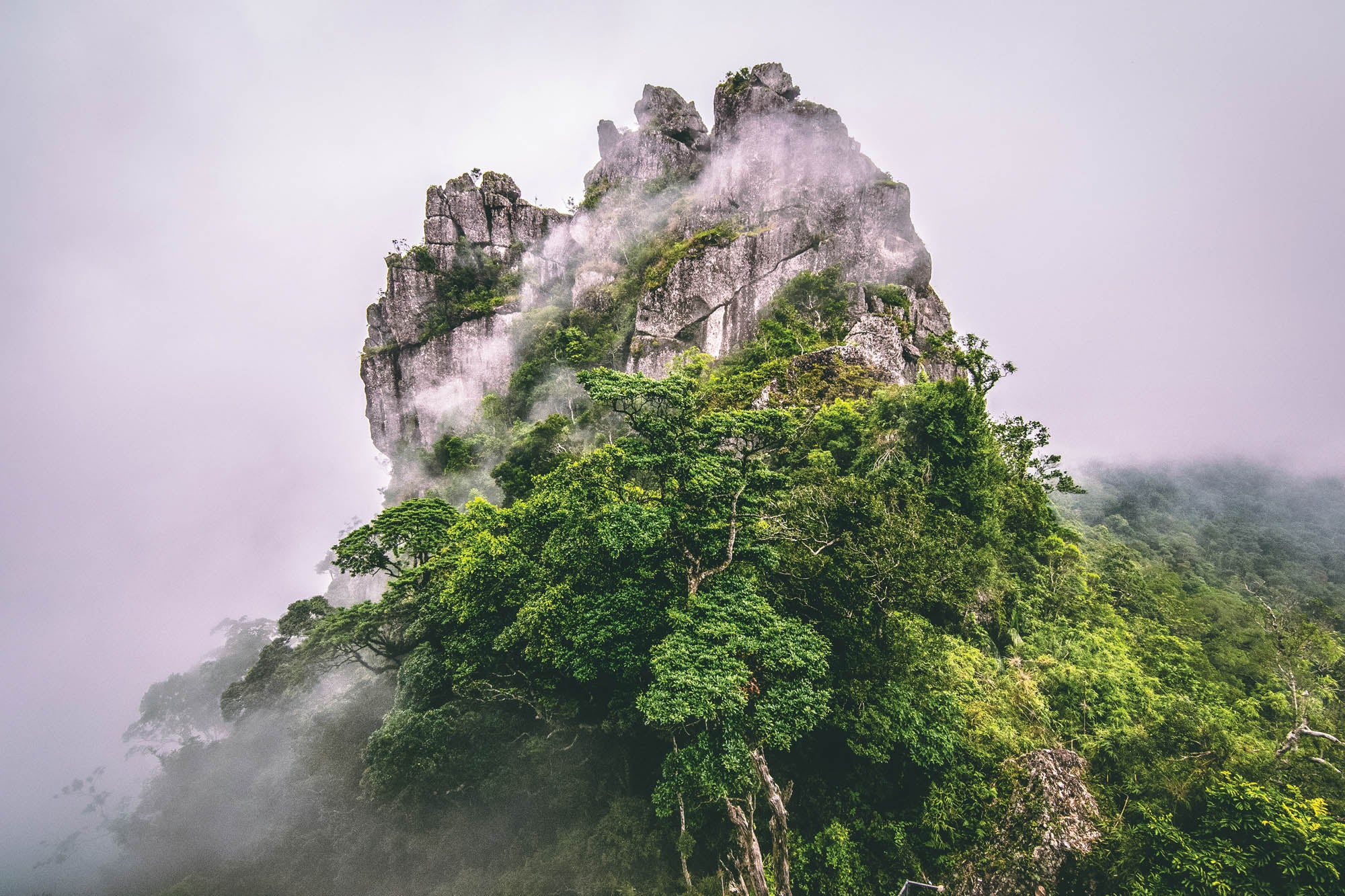 Bergtop  in mist en wolken  - LW00140