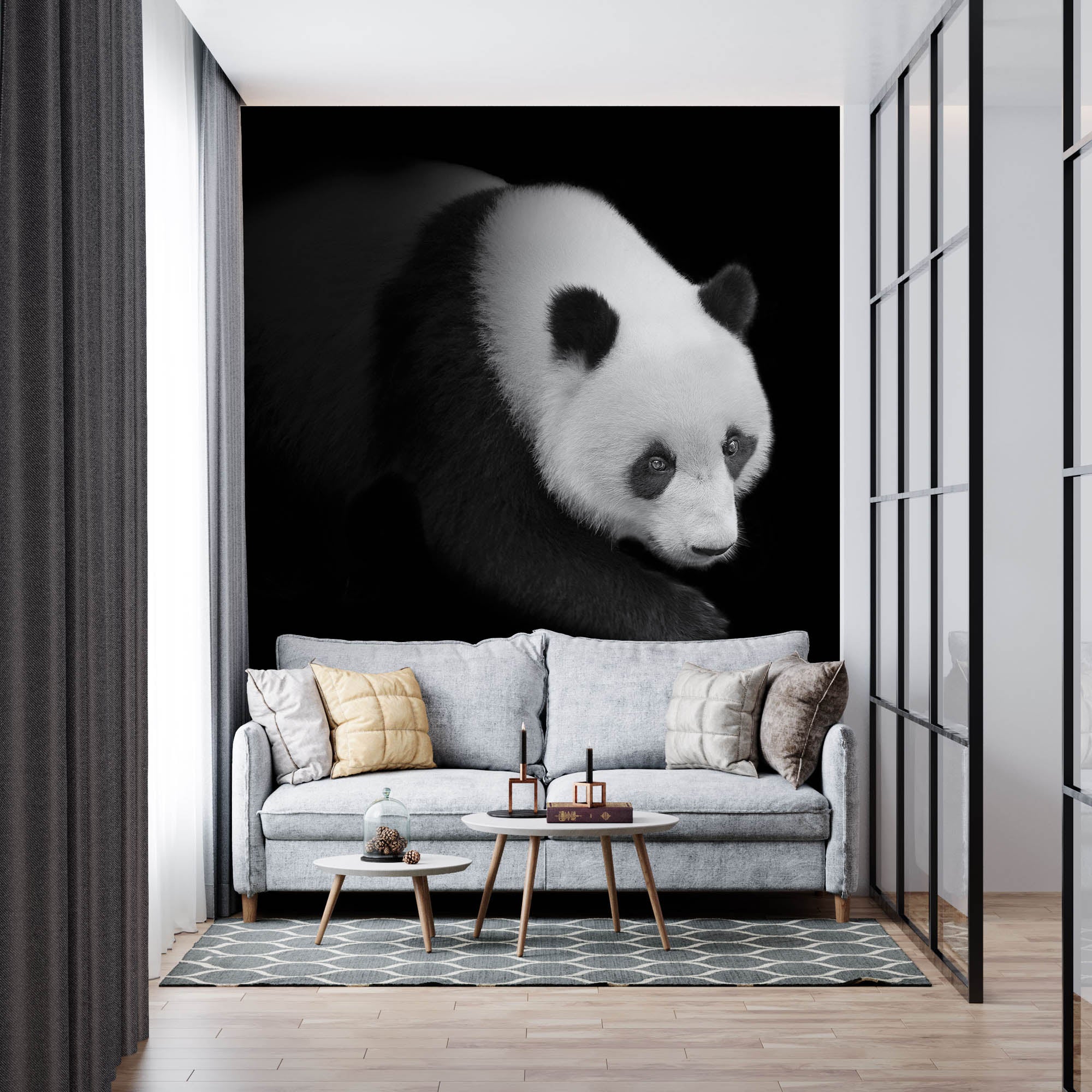 Pandabeer lopend vanuit het donker   - LW00240