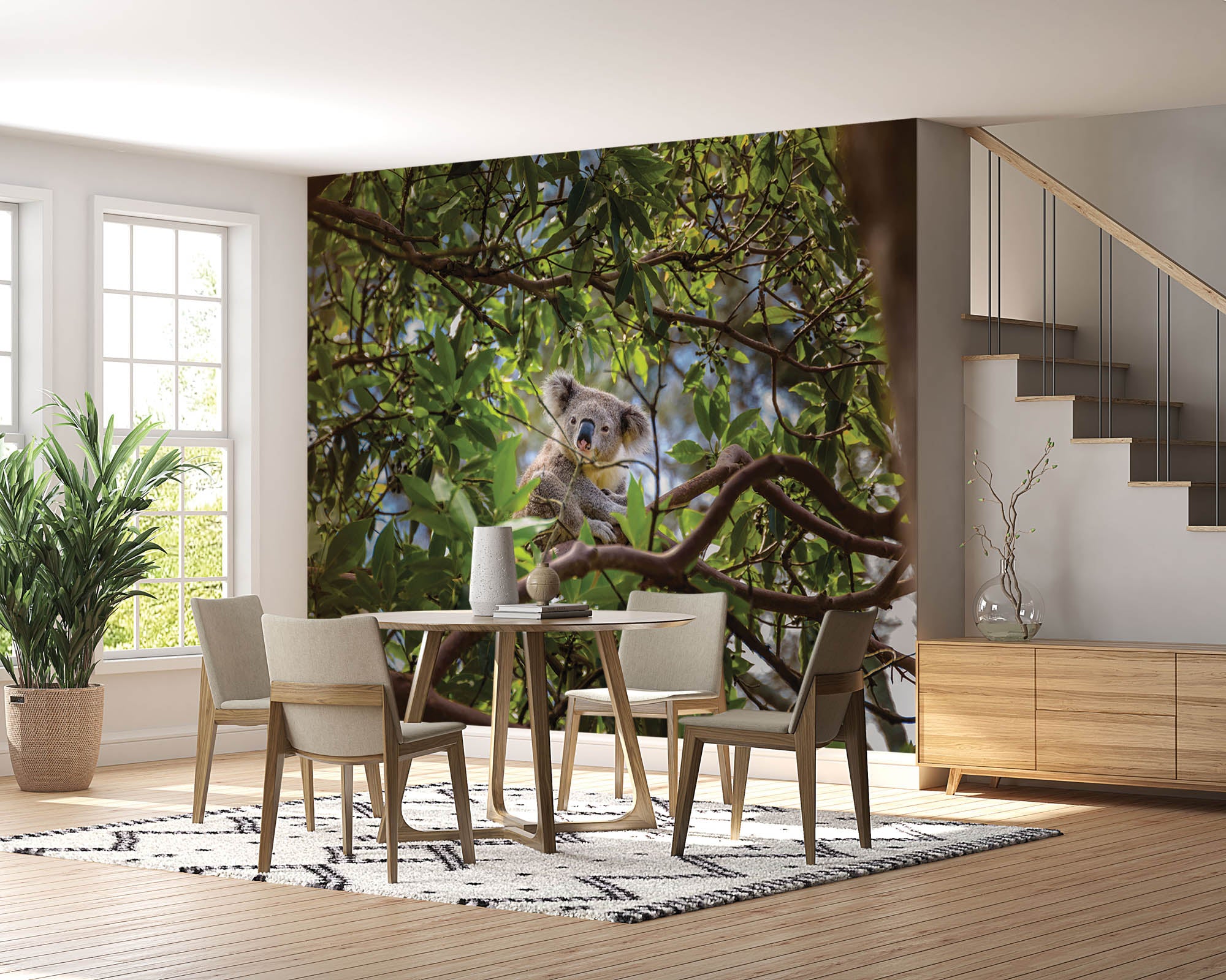 Koala op tak eucalyptus boom - LW00185