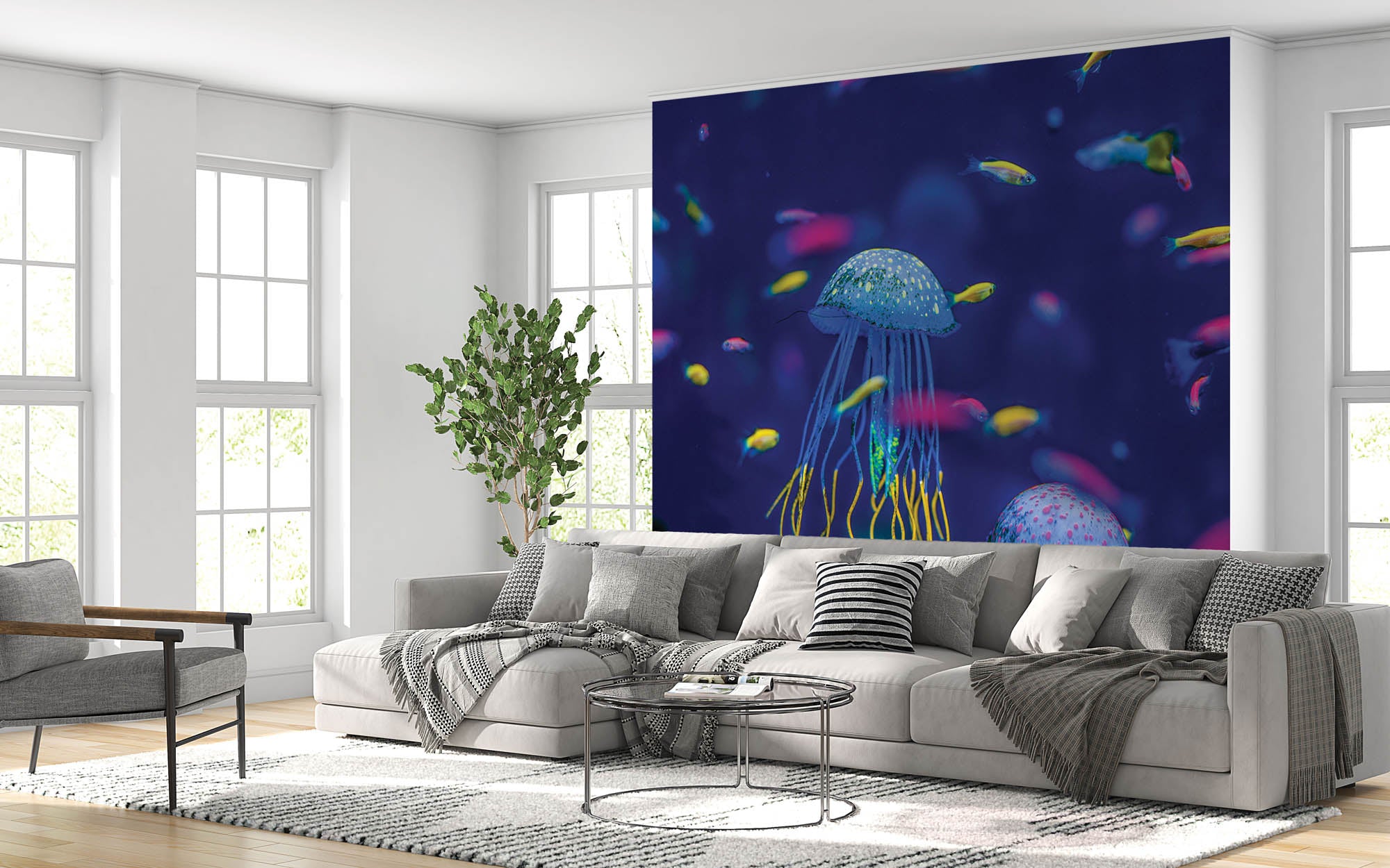 Kwallen in aquarium  - LW00192