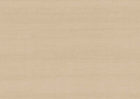 Arte Paleo Latus 50518