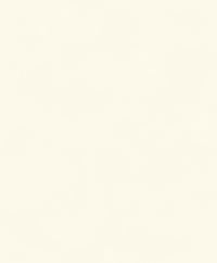 Khrôma Colorythm Color Mastic BLONE1010