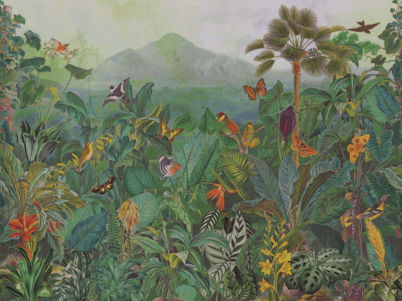 Arte Birds Of Paradise ["Panorama"] The Tropics BOP401
