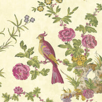 Little Green Darwin Jeune