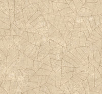 Arte Essentials Kaolin Fragment 30332