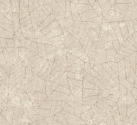 Arte Essentials Kaolin Fragment 30333