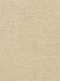 Arte Les Nuances Chanderi 91504