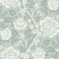 Little Green Gustav Cloud