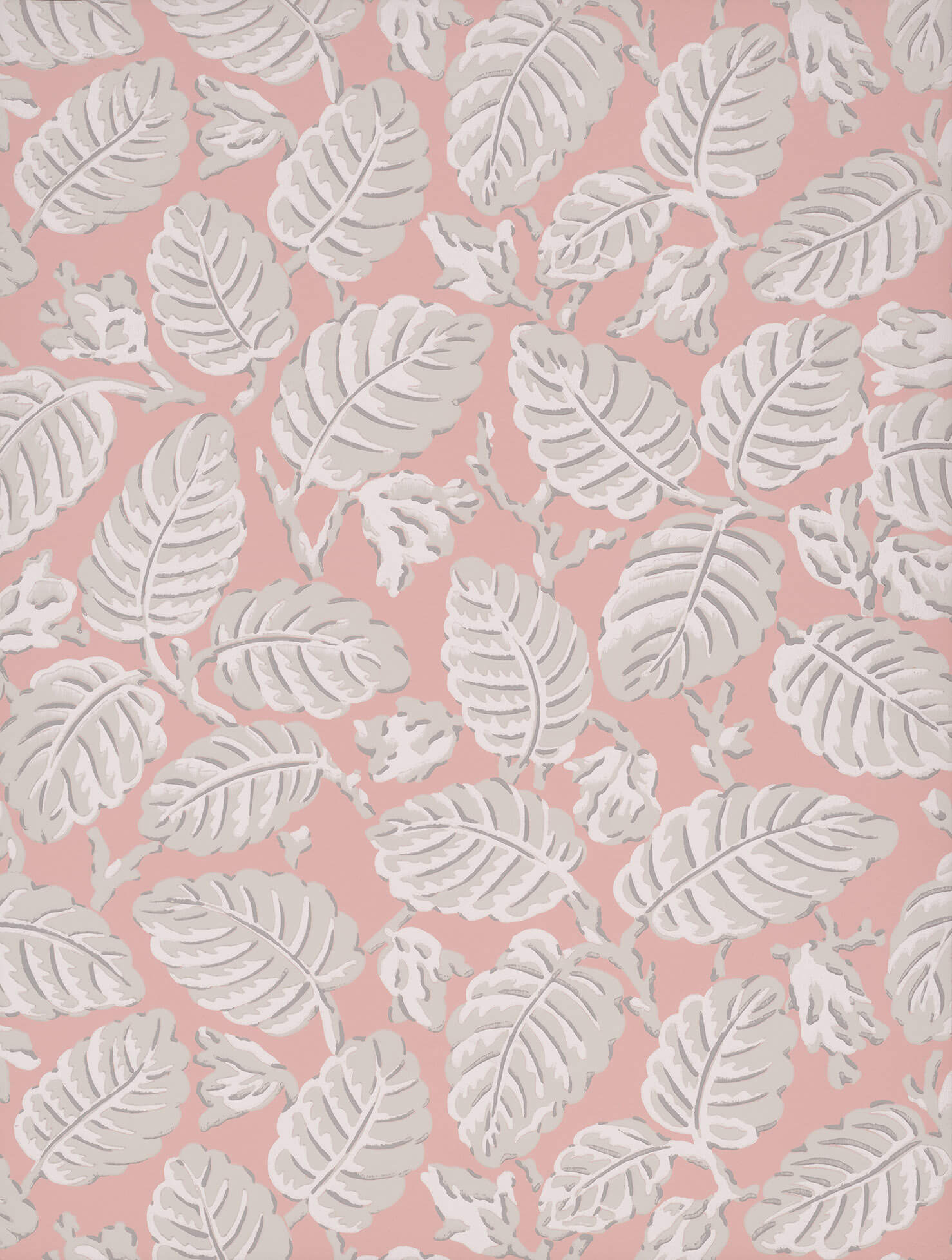 Little Green National Trust II Beech Nut Delicate