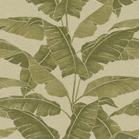 Hooked on Walls Long Island Westbury 26252