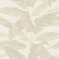 Hooked on Walls Long Island Westbury 26254