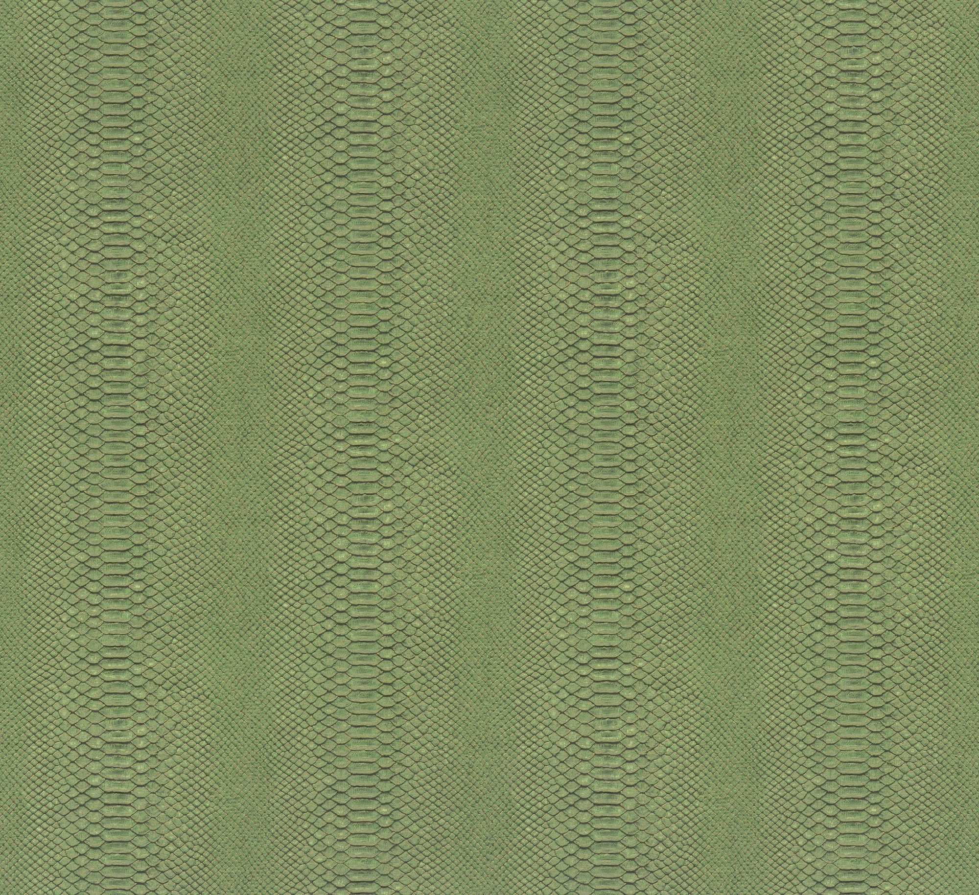 Hooked on Walls Material Matters Python 24720