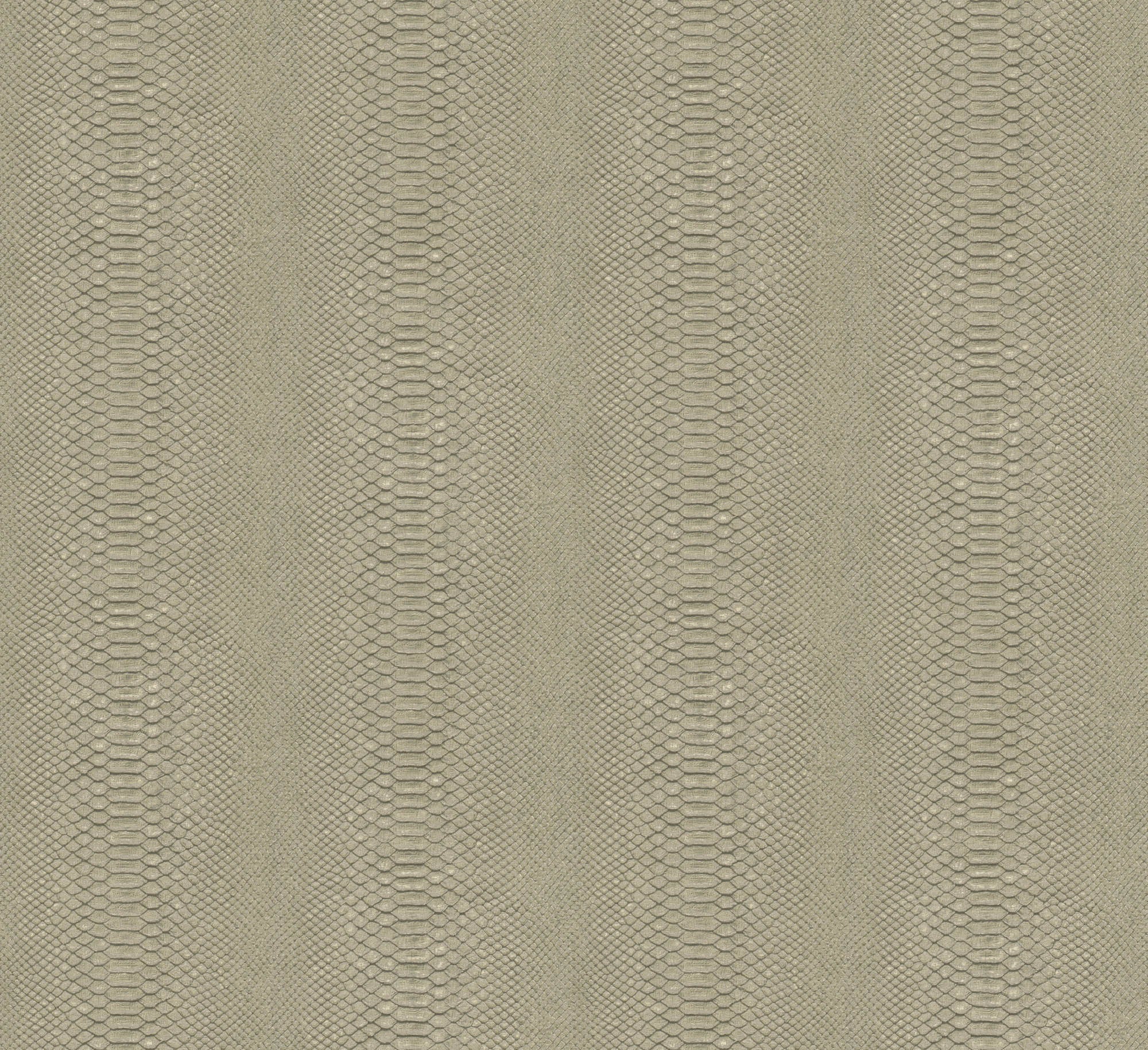 Hooked on Walls Material Matters Python 24721