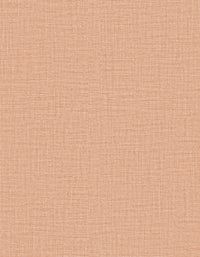 Arte Merino Lana 63509