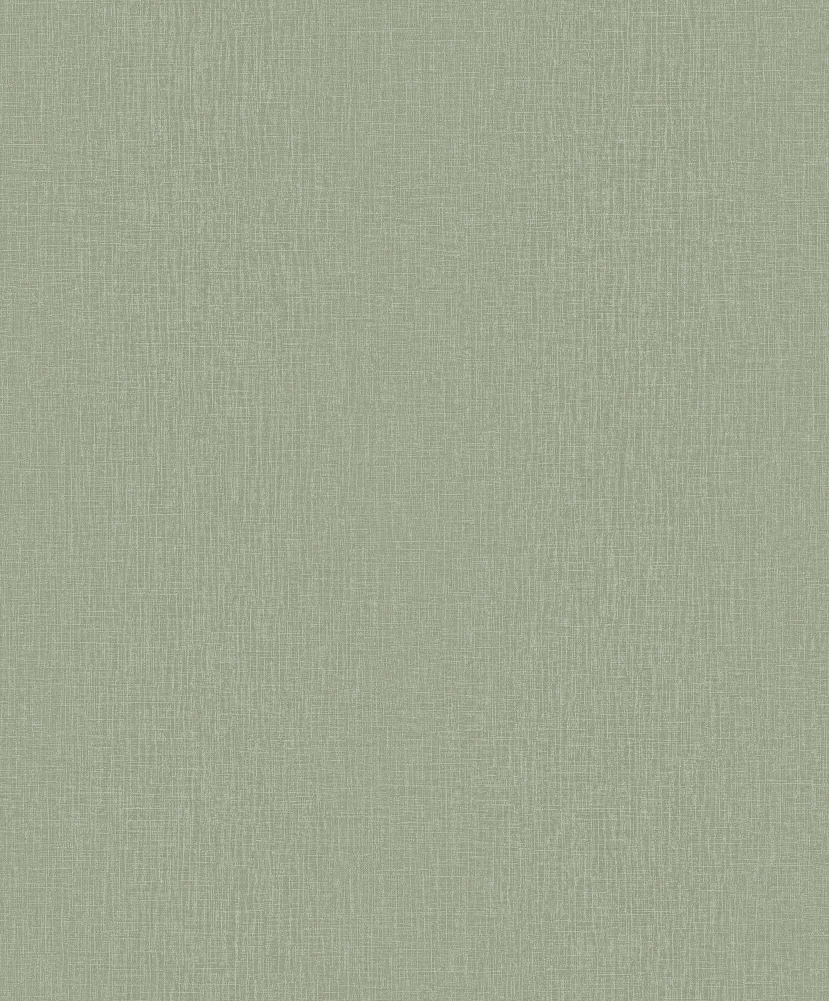 Hooked on Walls Neutralizer 01 Plain 31631