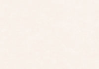 Hooked on Walls New Bali 46801 - 1 rol beschikbaar - OUTLET