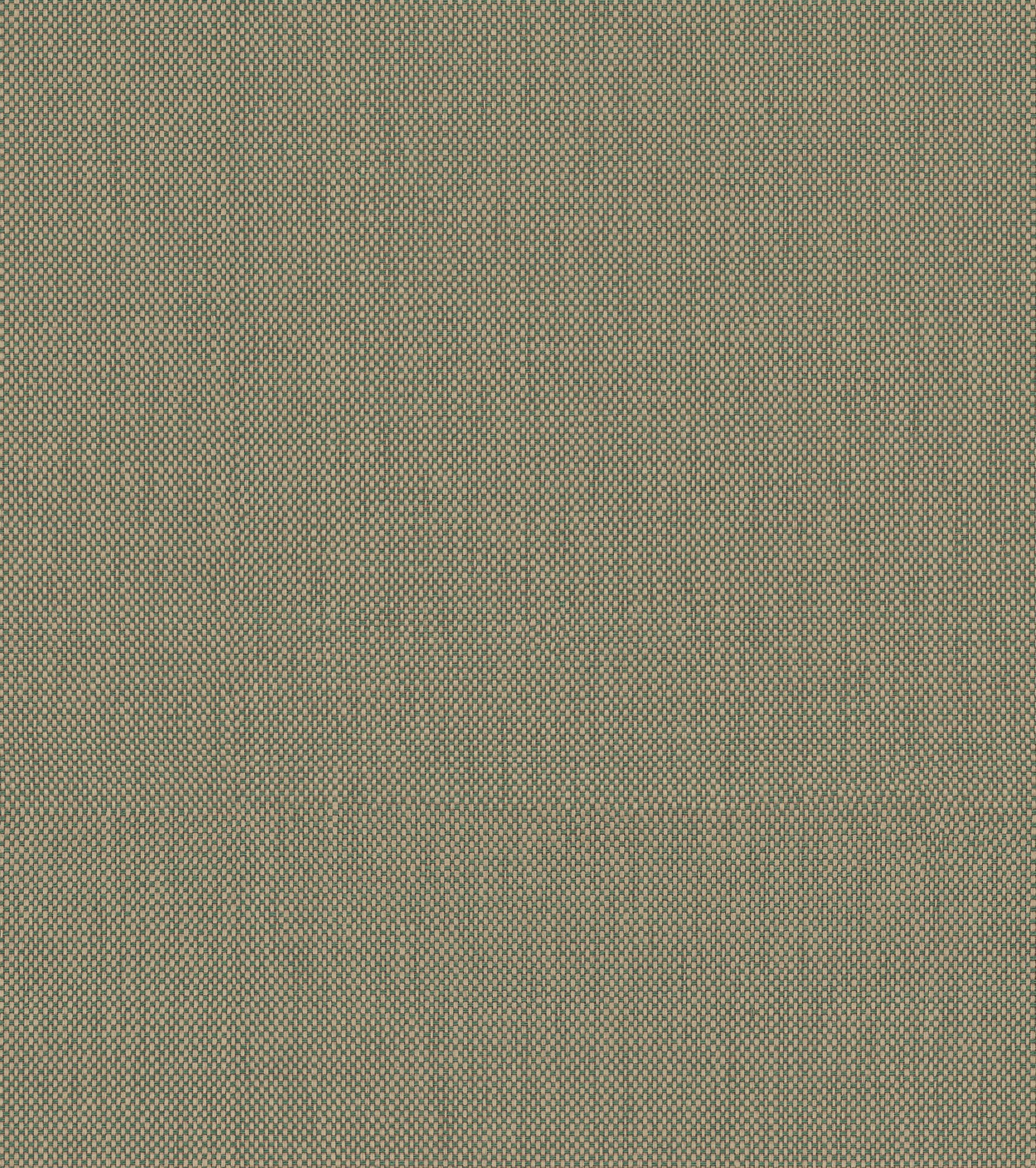 Arte Oase Calzada OAS243