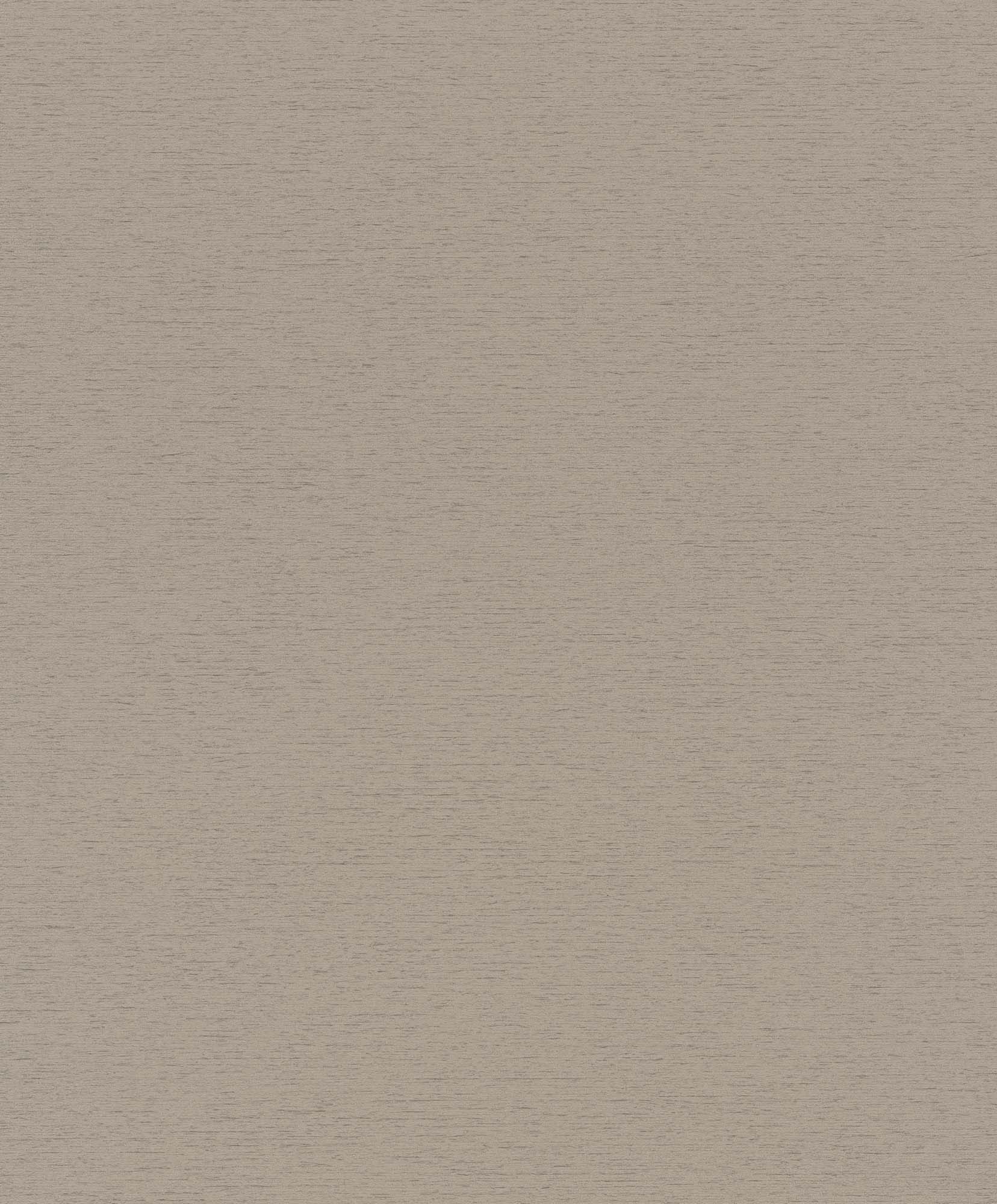 Hooked on Walls Passe Partout 2025 Travertino 4448