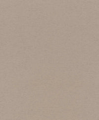 Hooked on Walls Passe Partout 2025 Travertino 4448