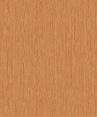 Hooked on Walls Passe Partout 2025 Rafia 4466