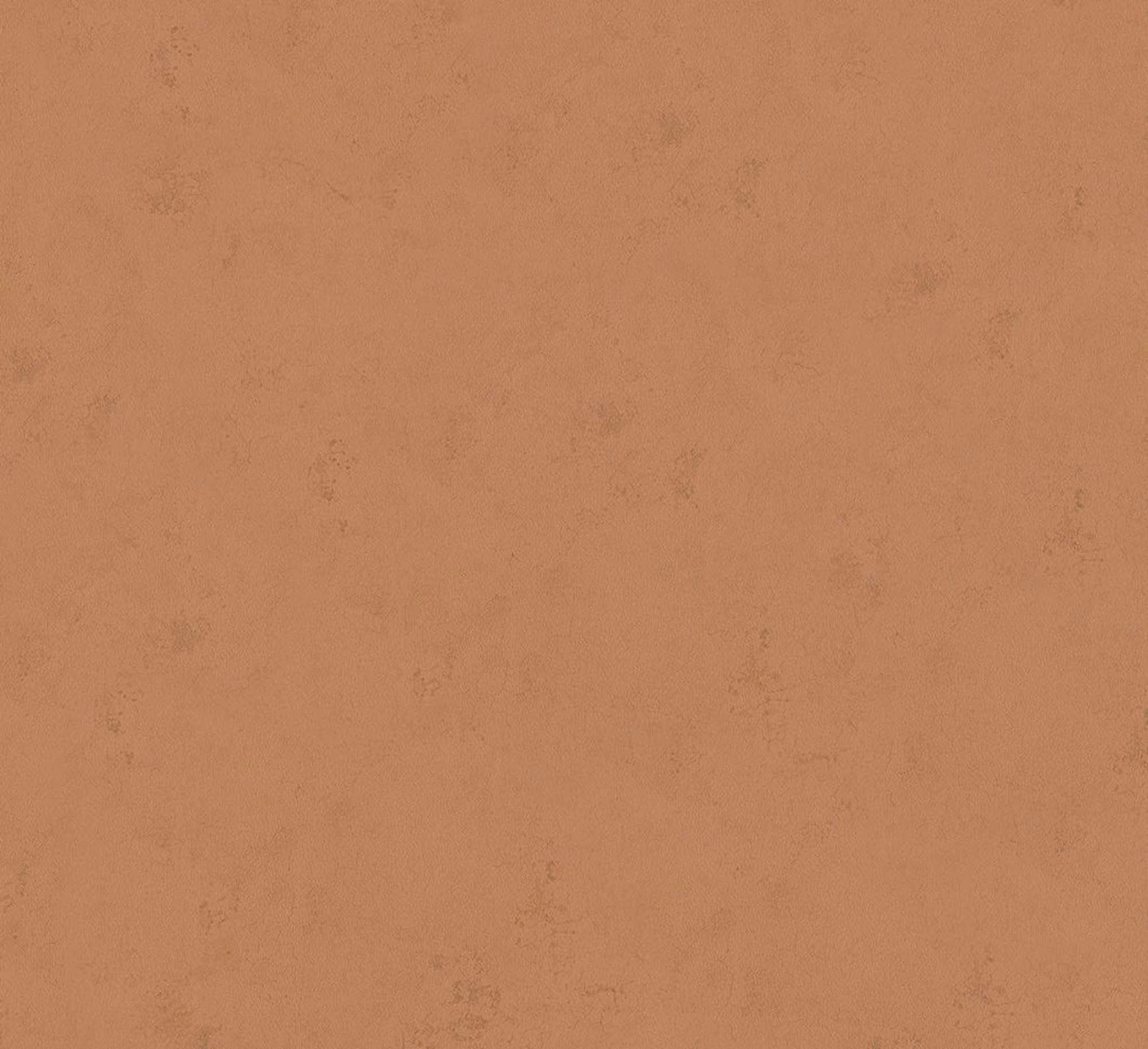 Hooked on Walls Passe Partout 2025 - 4473