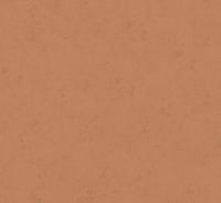 Hooked on Walls Passe Partout 2025 - 4473