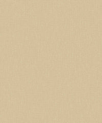 Hooked on Walls Passe Partout 2025 Plain 4492