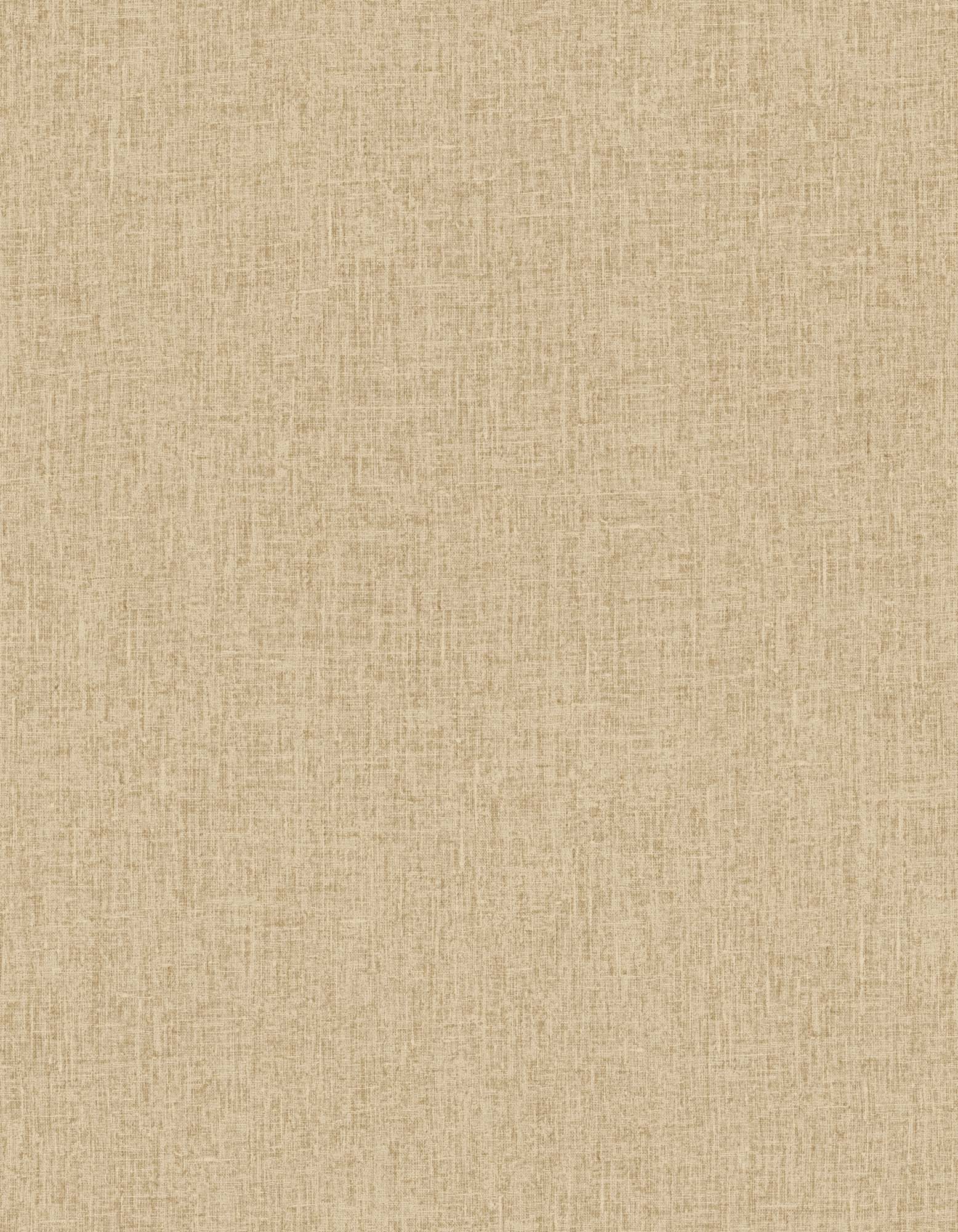 Hooked on Walls Passe Partout 2025 Unito 4494