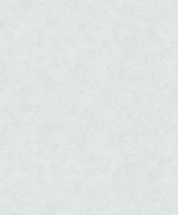 Hooked on Walls Passe Partout 2025 Shades 4541