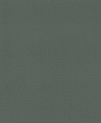 Hooked on Walls Passe Partout 2025 Loft Sup 4561