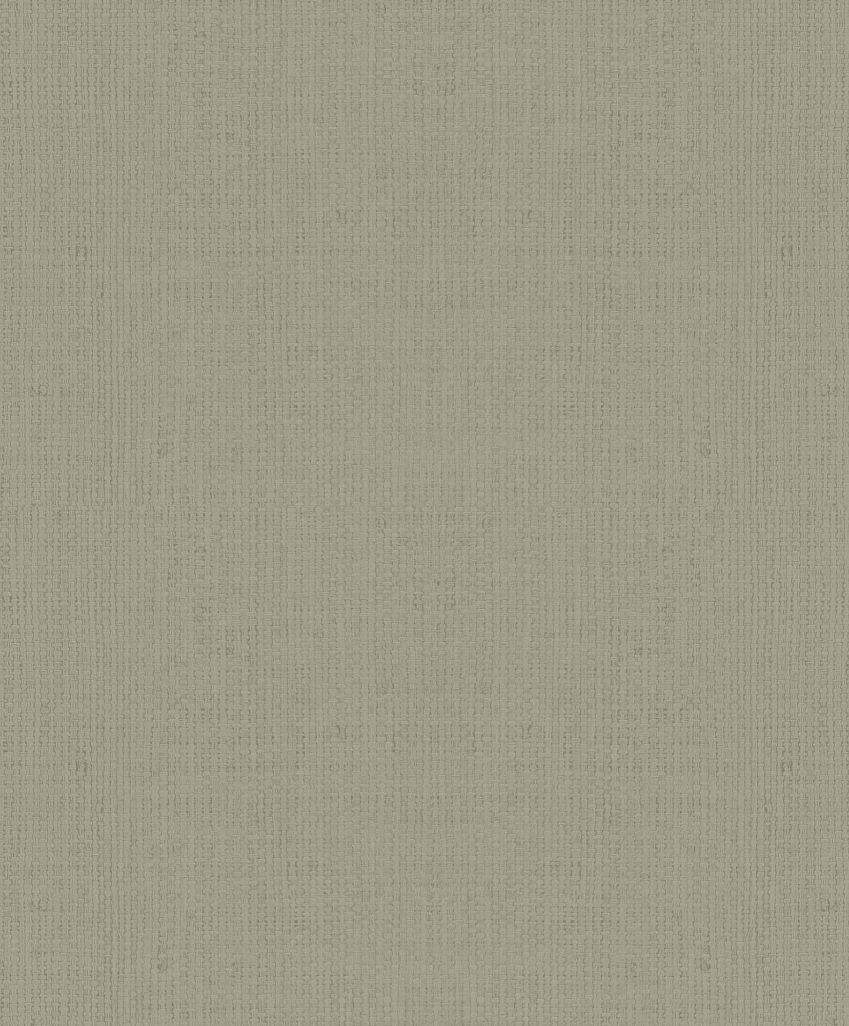 Hooked on Walls Passe Partout 2025 - 4572