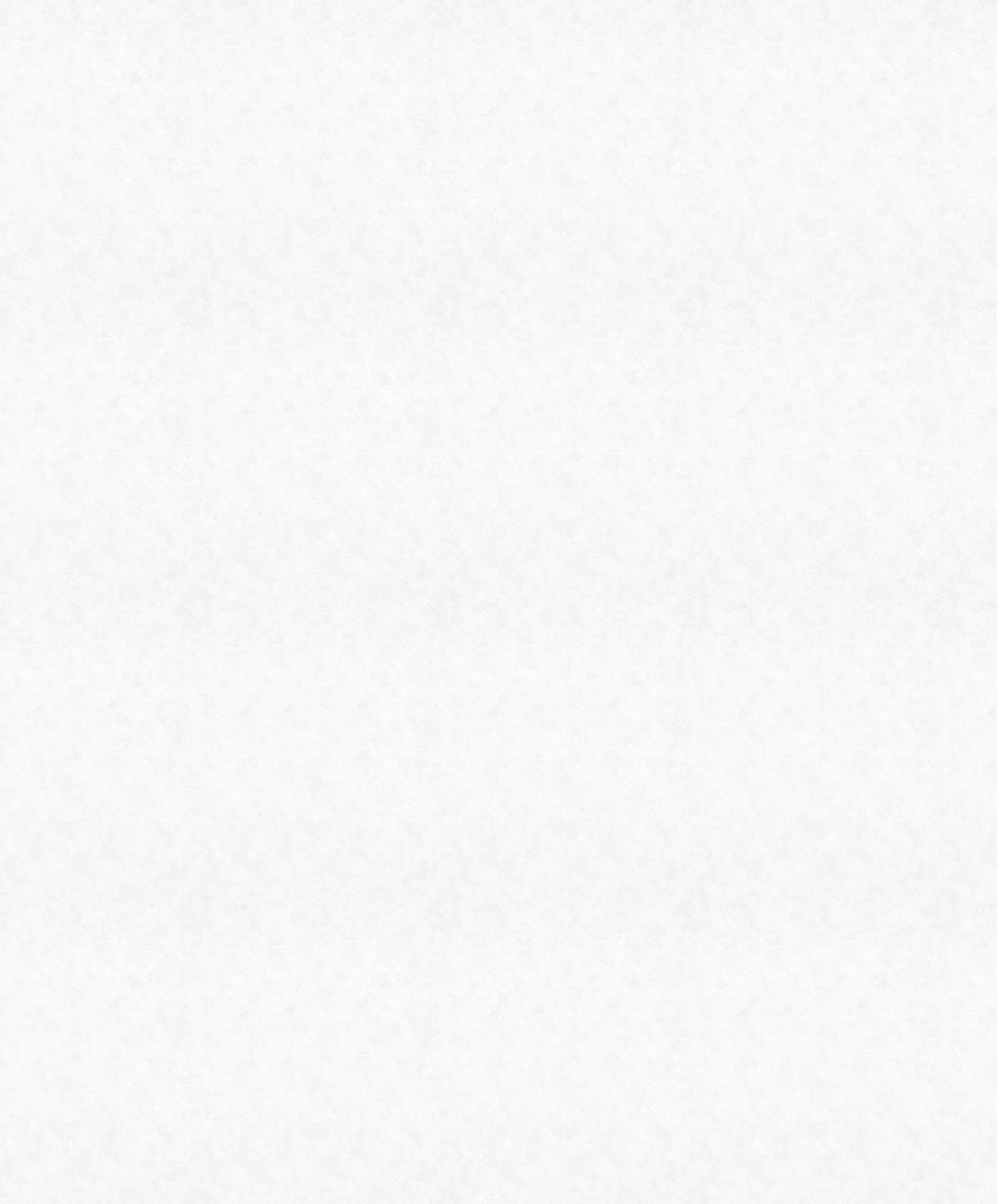 Hooked on Walls Passe Partout 2026 Casa Blanca Shades 29604