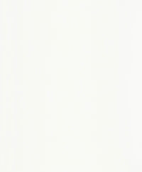 Hooked on Walls Passe Partout 2026 Casa Blanca Struktur 29617