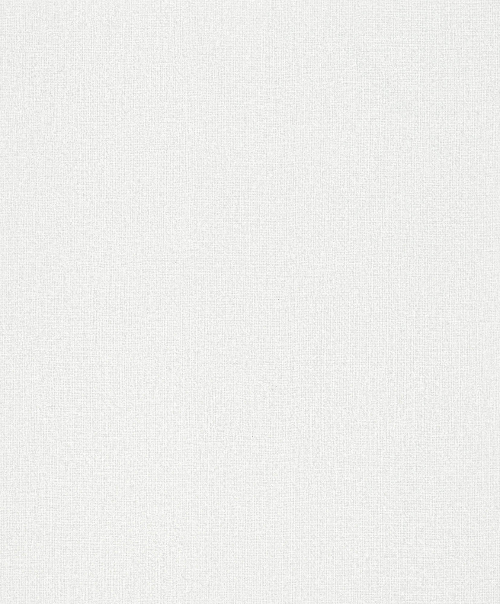 Hooked on Walls Passe Partout 2026 Casa Blanca 29625