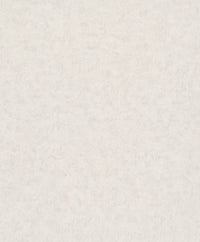 Hooked on Walls Passe Partout 2026 Casa Blanca Kumano 29663